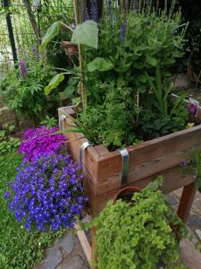 Hochbeet Lärche für Balkon und Terrasse