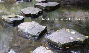 Insekten brauchen Trittsteine.