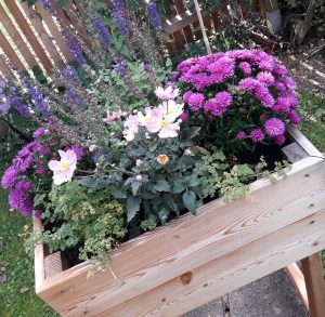 Hochbeet Lärche für Balkon und Terrasse