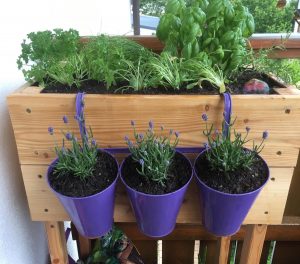 Hochbeet Lärche für Terrasse und Balkon