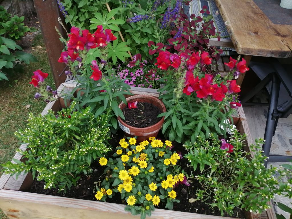 Hochbeet Lärche für Balkon und Terrasse