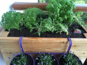 Hochbeet Lärche für Balkon und Terrasse