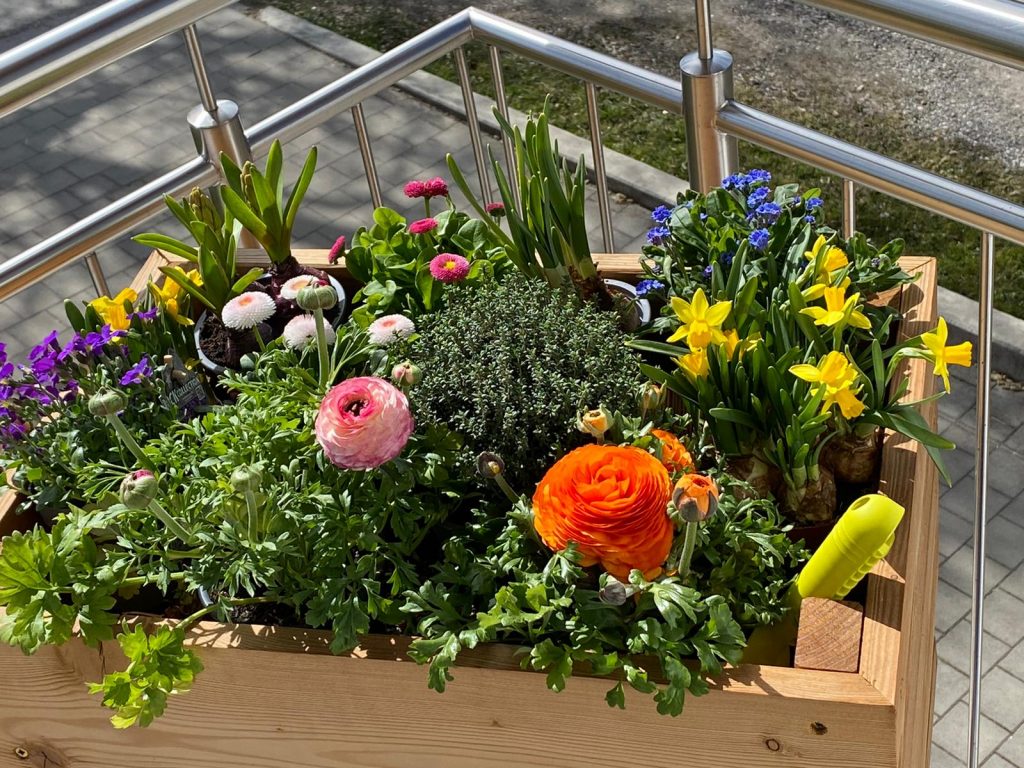 Hochbeet Lärche Balkon und Terrasse