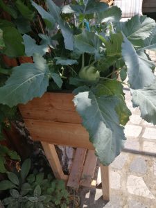 Hochbeet Lärche für Balkon und Terrasse