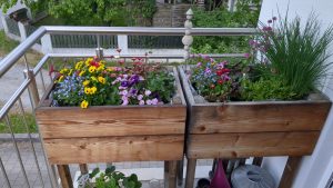 Hochbeet Lärche Balkon