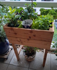 Hochbeet Lärche Balkon